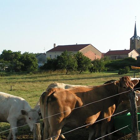 Chambres D'Hotes Au Presbytere Racrange Exteriér fotografie