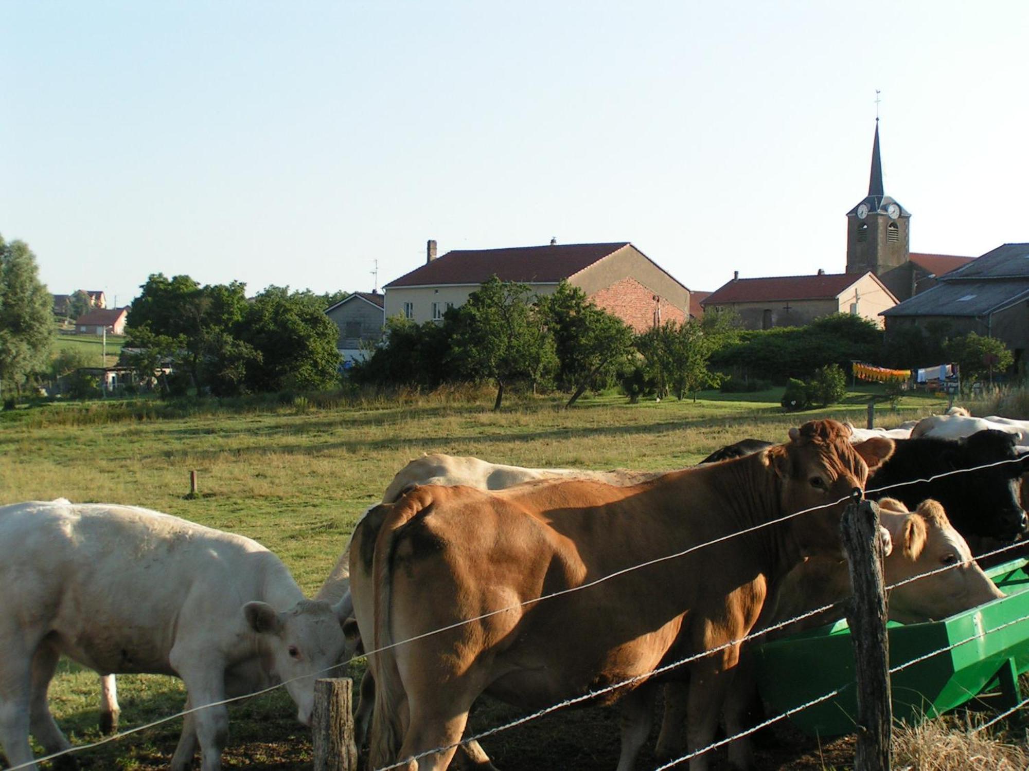 Chambres D'Hotes Au Presbytere Racrange Exteriér fotografie